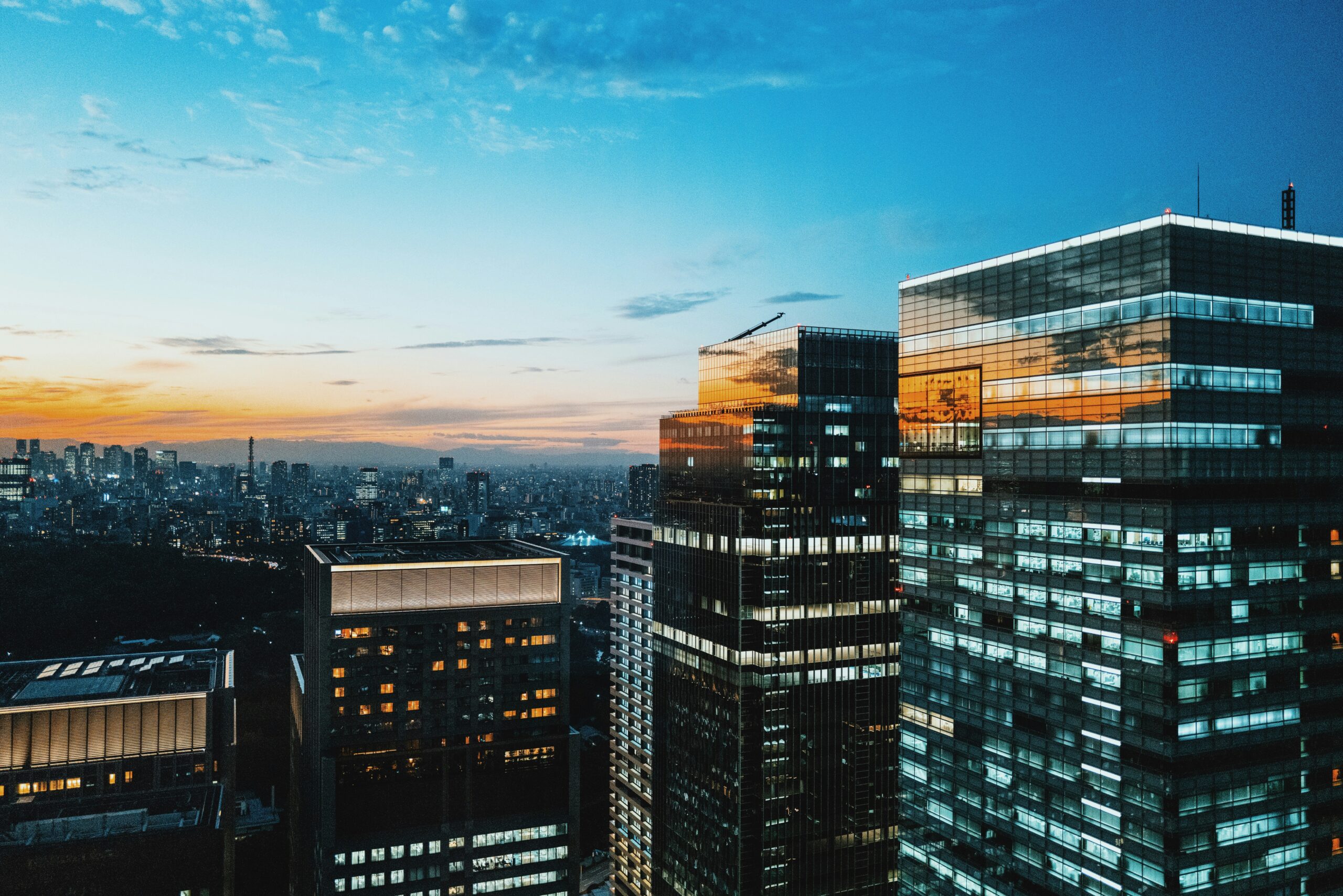 OZER GLOBAL HOLDING global outlook